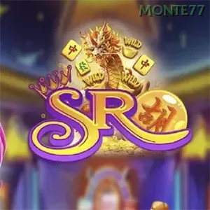 Ikon sr877